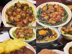 -侨美·唐荔园·40年地道粤菜