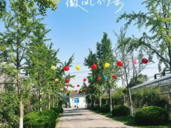 -菊园百果园
