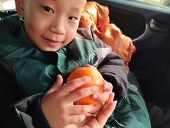 -城市批发中心(芙蓉汉城店)