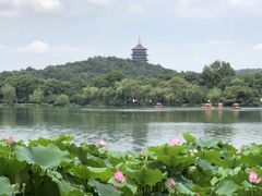 -湖畔居茶楼(湖滨店)