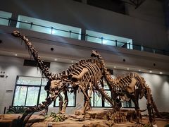 -自贡恐龙博物馆