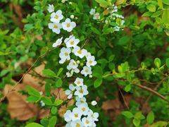 -苏州河梦清园环保主题公园