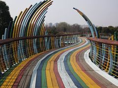 -西山漾湿地公园