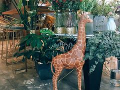 -卓花境Flowerwonderland花店