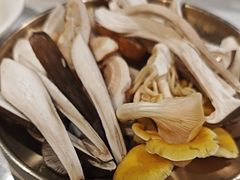 -菌小白火锅(时尚天河店)