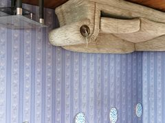 -金山农民画村-枫泾波兰倒置屋