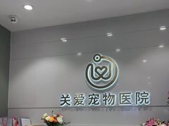-关爱宠物医院·猫科中心·消化科(滨湖万达分院)