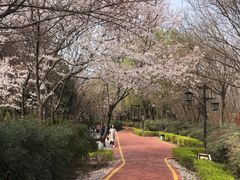-西安汉城湖景区