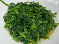 酒香豆苗-孔乙己酒家(虹桥路店)