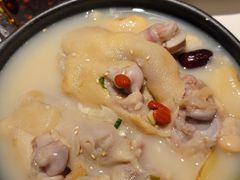 老妈蹄花-付小姐在成都(五道口店)