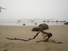 -摩拉基大圆石