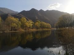-灵山