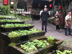 -青城甲(青城山店)