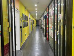 -杨梅红艺术教育(凤城教学中心)