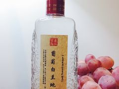 -永康市康源葡萄园