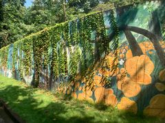 -广州白江湖森林公园