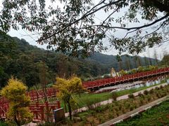 -广州市石门国家森林公园