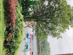 -枫香湖儿童公园