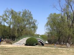-莫子山公园