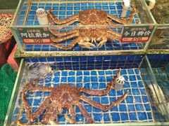 -飞尝蚝·顺德菜·鱼生(顺德总店)