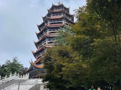 -铁山坪森林公园