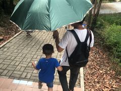 -广东惠东海龟国家级自然保护区