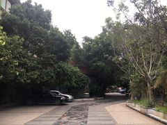 -石棉县人民医院(主院区)