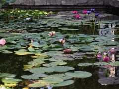 -国家植物园南园