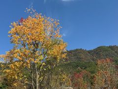 -塔川景区