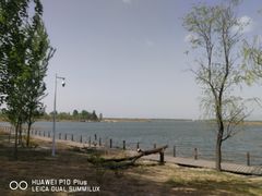 -野鸭湖国家湿地公园