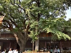 -普陀山风景名胜区-法雨禅寺