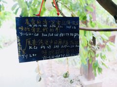 -呀路古热带植物园