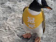 -哈尔滨波塞冬海底世界