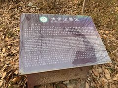 -大伊山景区