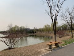 -东郊湿地公园