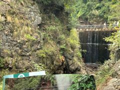 -大奇山国家森林公园