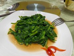 清炒豆苗-新加坡泰园村酒楼直营(新华路店)