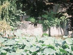 -中国翰园碑林