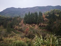 -塔川景区