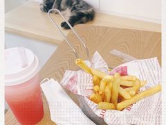 -李小姐の猫咖啡馆(五角场店)