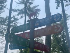 -秦皇岛野生动物园