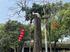 -南海神庙