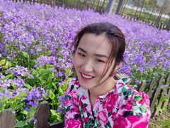 -荷兰花海
