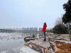 -南翔镇银翔湖公园