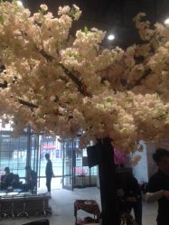 点击看大图 -简影造型·自选烫染接发salon