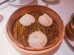 -阿五黄河大鲤鱼(纬三路店)