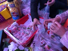 -双福水果批发市场
