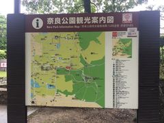 -奈良公园