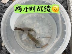 -DGE季风钓虾营地·团建·聚会