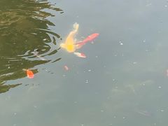 -大悲禅寺